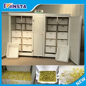Beans, Soybean, Green Mung Bean Sprout Production Machine For Sale