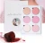 Import Beauty cheek tint cosmetic makeup palette blush private label from China