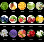Beauty honey nail care tools and equipment 15 kinds of flavors cuticle oil pen