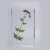 Import biology plants specimen teaching resources plant acrylic embedded specimen from China