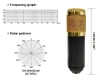 BM 800 Studio Microphone Kits With Sound Card BM800 Condenser Professional Microphone For Computer Recording Podcast TikTok
