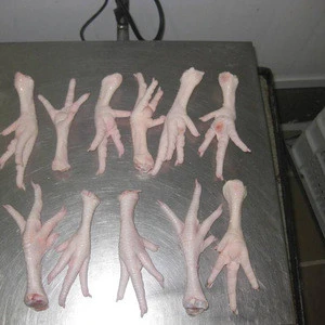 Brazil Origin Halal Frozen Processed Chicken Feet / Paws