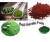 Import Broken Cell-Wall Bulk High Quality Organic Chlorella Vulgaris powder from China