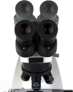 BS-DMEX30 Digital Biological Microscope Labrotory Optical LED Digital Binocular Electric Optical Microscope With Camera