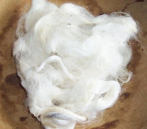 Cashmere Fibre/ Wool Fibre / Raw Wool