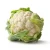 Import Cauliflower / White Broccoli I.Q.F Frozen best price from Egypt