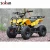 Import CE Proved 49CC 2 Stroke Single Cylinder Gasoline ATV from China