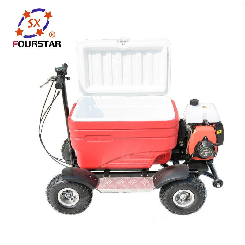 cheap 50CC 4 Stroke gas powered cooler scooter