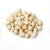 Import Cheap Price Top Quality Premium Ginkgo Nuts from South Africa