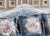 Import Chic Contemporary Living Room Furniture 3pc Sofa Set Light Blue Velvet Luxury Sofa from China