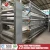 Import Chicken House, Cage Laying Equipment for layers quails from China