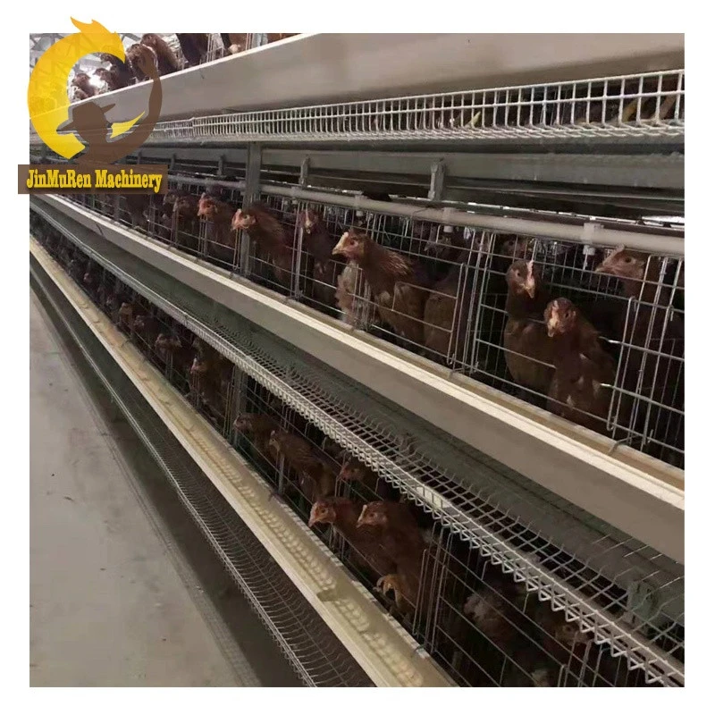 China poultry equipment farm chicken cage