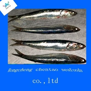 Chinese frozen anchovy for canned
