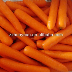 Chinese High Quality Carrot