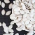 Import Chinese origin snow white pumpkin seeds from China