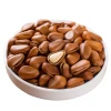 Chinese Selling Cheap High Quality Pine Nuts