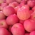 Import Chinese Shandong Fresh Red Juicy Fuji Apple from China