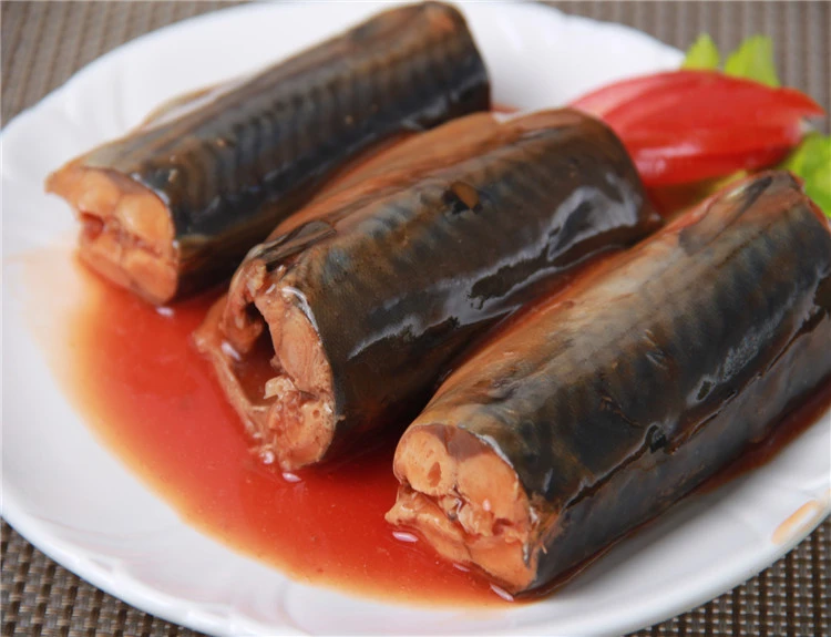 Chinese Ship Frozen   Canned Mackerel  In tomato sauce