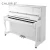 Import CHLORIS high quality acoustic piano 88 keys upright piano for sale from China