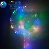 Clear Bubble Balloon With Led Strip Copper Wire Luminous Led Balloons For wedding Decorations Birthday Party Supplies