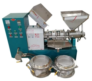 Commercial Use Oil Press Machine / sunflower Oil Extractor / vegetable Seeds Oil Press machine