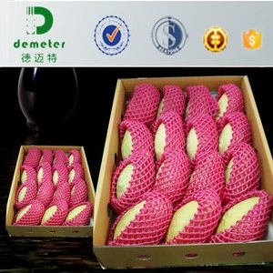 Competitive Price Professional Customization FDA Approval Foam Plastic Net Cover For Papaya Packaging