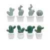 Creative Artificial Plant Greenery Simulation Cactus Bonsai Decoration