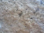 Crepe Rubber