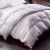Import Custom King/Queen Size White Hilton Goose Duck Feather/Down Filled Bedding Comforter Duvet Inserts from China
