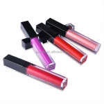 Custom Logo lipgloss vendor Wholesale black Metallic matte lipstick private label