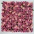 Import Custom Vintage Wedding Decorative Backdrop Panels Artificial Silk Peony Flower Wall from China