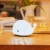 Import Cute silicone night light whale night light animal led night light for kids from China