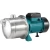 Import Dc water high pressure series stainless steel self priming pump from China