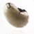 Import Decorative new products special beautiful turtle stone geode quartz crystal stone for home decoration from China