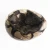 Import Decorative new products special beautiful turtle stone geode quartz crystal stone for home decoration from China