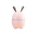 Import Desktop Commercial Small Capacity  Mist Purifier USB Rechargeable Diffuser Rabbit Cute Air H2O Car Humidifier from China