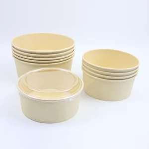 Disposable Paper Bowl Biodegradable Bamboo Pulp Paper Bowl For Salad With Lid