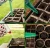 Import DIY Biodegradable Seedling Starter Kit  Peat Pots Trays Gardening Seeder Dibbers T-markers Humidity Dome Base GerminationTrays from China