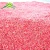 Import Best Quality Dried Red Chilli Pepper in Good Price from China