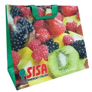 Eco shopping grocery bag - pp woven bag with lamination, cabas bag