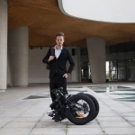 Elegant Shape 250w E Bike folding electric bicycle