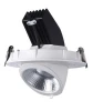 European Standard Adjustable COB 50w barber shop downlights,recessed downlight for store