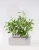 Import excellent houseware balcony flower pot flower pots &amp; planters from China