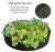 Import Fabric Raised Garden Bed 50 Gallons Round Planting Container Grow Bags Breathable Felt Fabric Planter Pot for Plants Nursery Pot from China