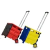Factory direct selling kids portable plastic folding shopping trolley cart with adjustable handle