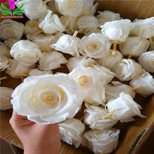 Factory Directly Sale Decorative Flowers Preserved Roses 5-6cm Head With Best Quality In Kunming