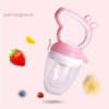 Factory Food Grade Soother Silicone Nipple Infant Baby Fruit And Vegetable Feeder