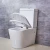 Import Factory Supply Public Wc Girl Toilet Seat Ceramic Washdown Two Piece Toilet from China