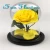 Import Factory Supply Wholesale Preserved Rose Flower In Glass Dome In Gift Boxes For Birthday from China