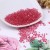 Import Factory wholesale best quality glass seed beads for jewelry making from China